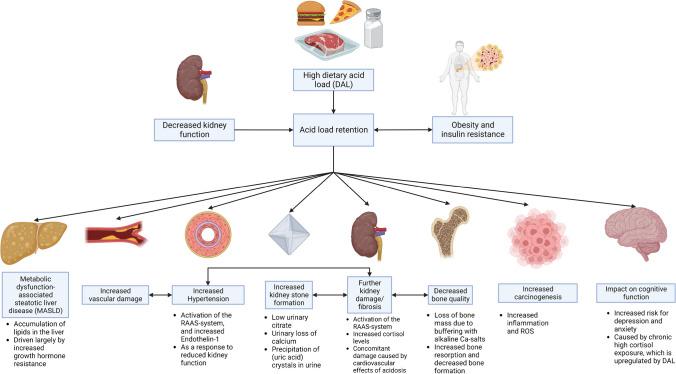 https://cdn.ncbi.nlm.nih.gov/pmc/blobs/f9e4/11006742/a3b2349c0e7a/424_2024_2910_Fig1_HTML.jpg