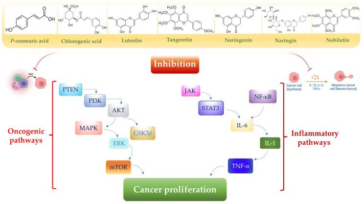 https://cdn.ncbi.nlm.nih.gov/pmc/blobs/f9e5/12197219/9e4190a67f1c/toxics-13-00438-g005.jpg