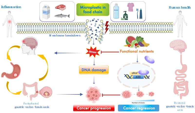 https://cdn.ncbi.nlm.nih.gov/pmc/blobs/f9e5/12197219/f7d2995826a5/toxics-13-00438-g001.jpg