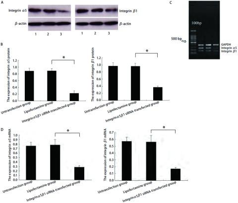 https://cdn.ncbi.nlm.nih.gov/pmc/blobs/f9e6/6000276/00b354675019/zgfazz-14-7-568-2.jpg