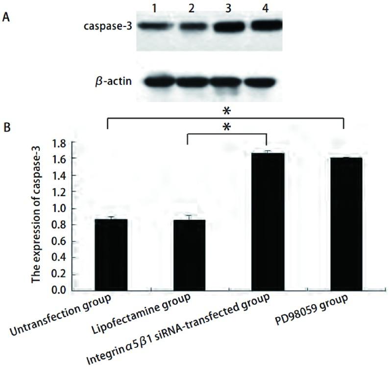 https://cdn.ncbi.nlm.nih.gov/pmc/blobs/f9e6/6000276/139d3c41cb5b/zgfazz-14-7-568-4.jpg