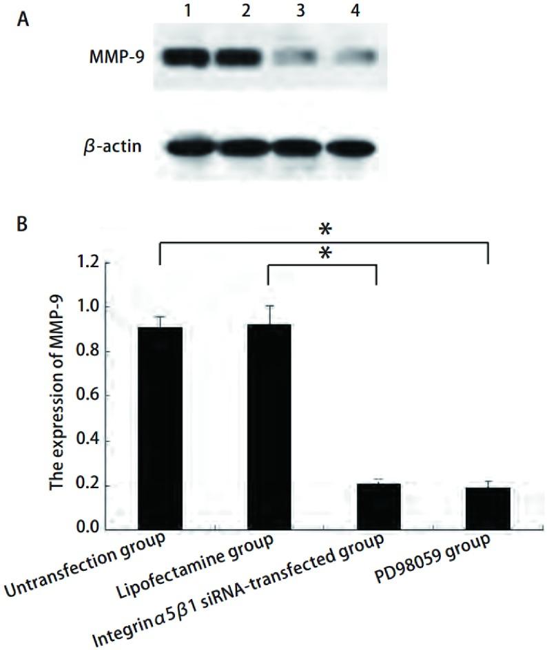 https://cdn.ncbi.nlm.nih.gov/pmc/blobs/f9e6/6000276/e62821ae398e/zgfazz-14-7-568-5.jpg
