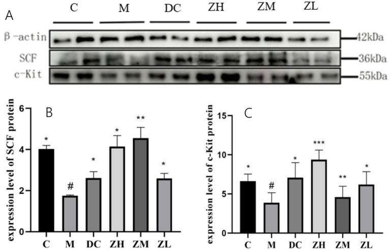 https://cdn.ncbi.nlm.nih.gov/pmc/blobs/f9e9/12217940/142727d243f7/fvets-12-1628570-g004.jpg