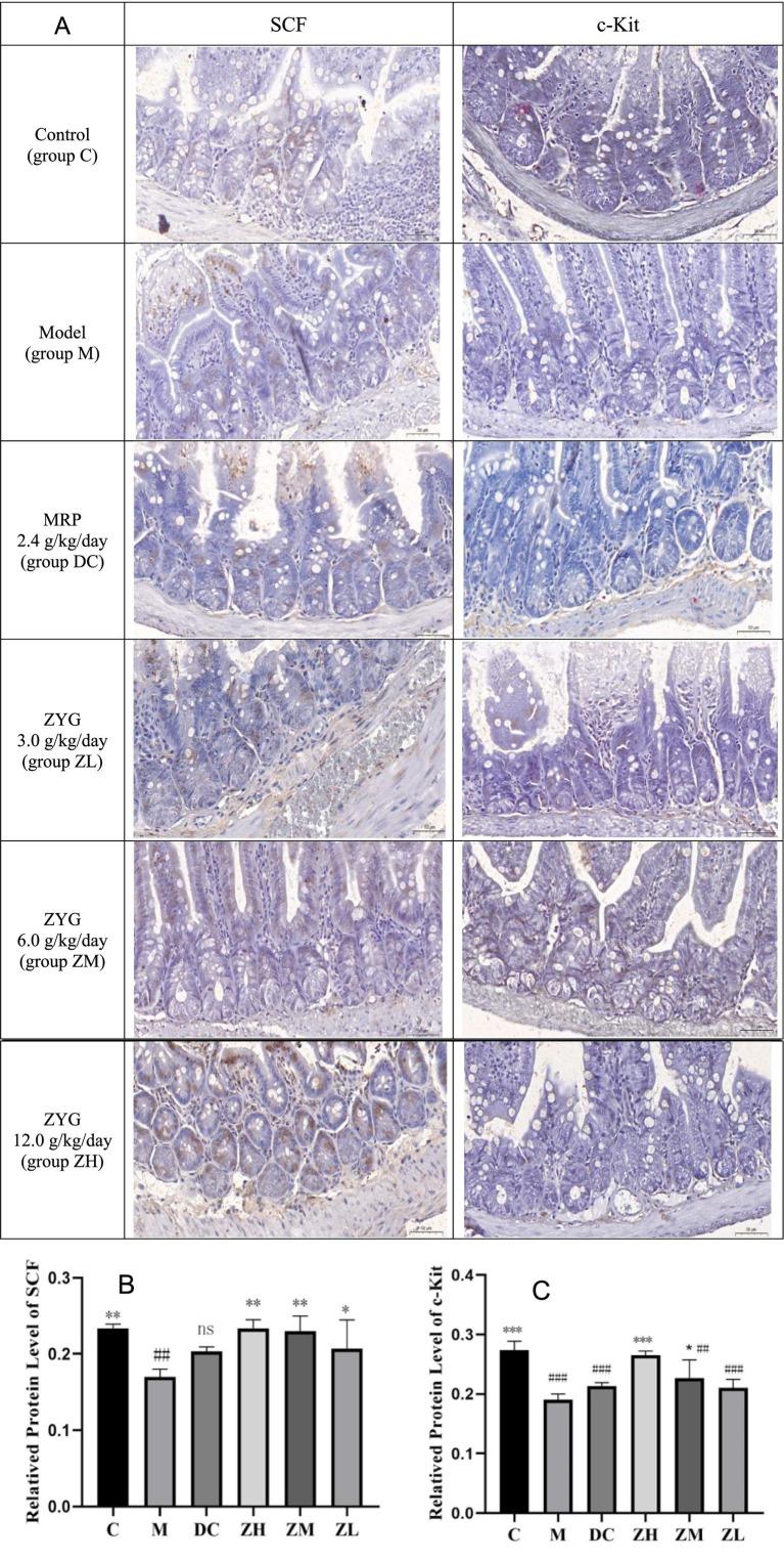 https://cdn.ncbi.nlm.nih.gov/pmc/blobs/f9e9/12217940/32b557133ce0/fvets-12-1628570-g002.jpg