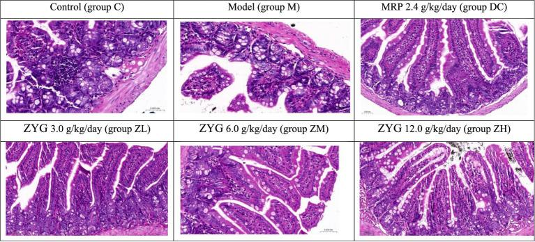 https://cdn.ncbi.nlm.nih.gov/pmc/blobs/f9e9/12217940/6fa2db168b9b/fvets-12-1628570-g001.jpg