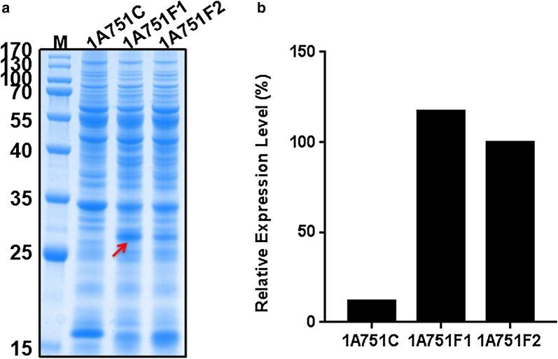 https://cdn.ncbi.nlm.nih.gov/pmc/blobs/f9e9/6348689/344b9fb56129/12934_2019_1066_Fig2_HTML.jpg