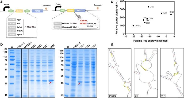 https://cdn.ncbi.nlm.nih.gov/pmc/blobs/f9e9/6348689/efe05ccb5f5b/12934_2019_1066_Fig3_HTML.jpg