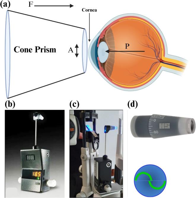 https://cdn.ncbi.nlm.nih.gov/pmc/blobs/f9ea/12011977/3fc8648b3357/10544_2025_740_Fig1_HTML.jpg