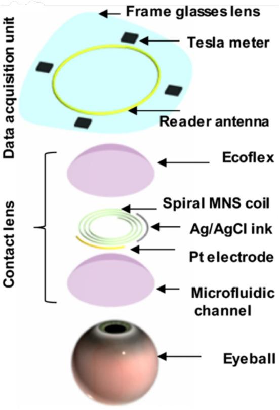 https://cdn.ncbi.nlm.nih.gov/pmc/blobs/f9ea/12011977/f2366c2e366a/10544_2025_740_Fig3_HTML.jpg