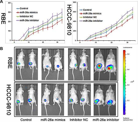 https://cdn.ncbi.nlm.nih.gov/pmc/blobs/f9ed/5348398/44aab4e52aba/oncotarget-07-81367-g003.jpg