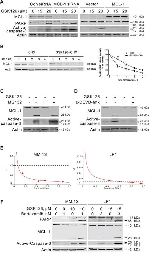 https://cdn.ncbi.nlm.nih.gov/pmc/blobs/f9ef/5356890/a8a69a19081f/oncotarget-08-3396-g005.jpg
