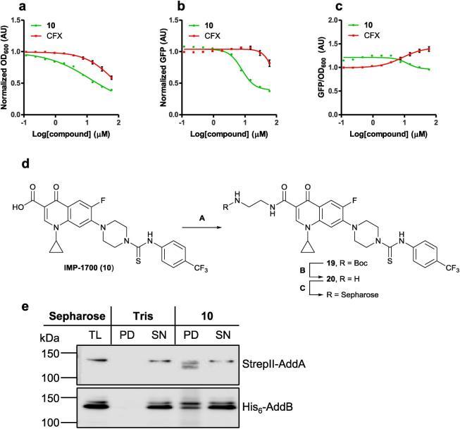 https://cdn.ncbi.nlm.nih.gov/pmc/blobs/f9ef/6892255/e9881ddd3a3f/gr2.jpg