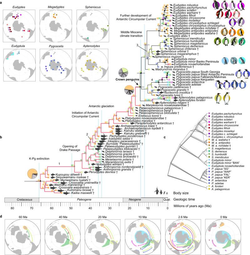 https://cdn.ncbi.nlm.nih.gov/pmc/blobs/f9f0/9296559/c77fa3de78bf/41467_2022_31508_Fig1_HTML.jpg