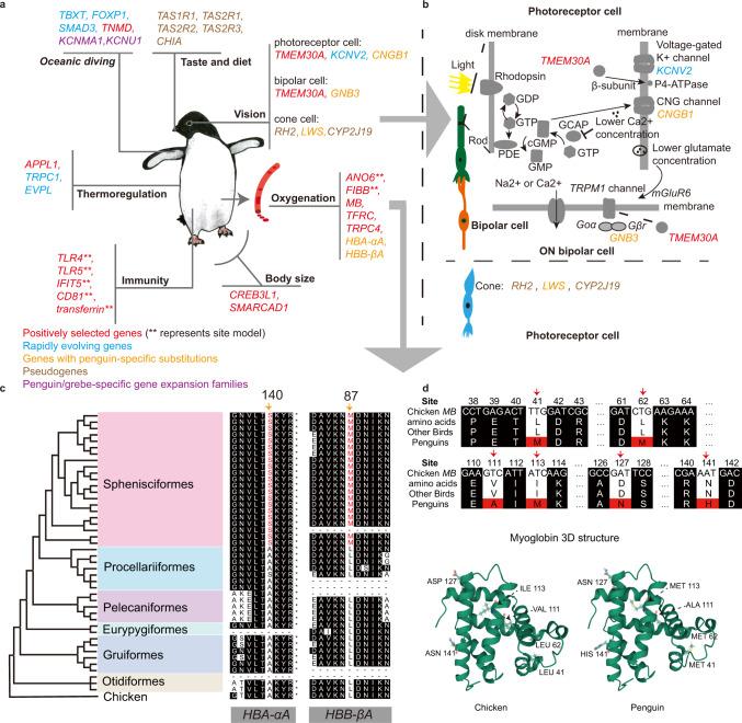 https://cdn.ncbi.nlm.nih.gov/pmc/blobs/f9f0/9296559/ca8f46d56715/41467_2022_31508_Fig4_HTML.jpg