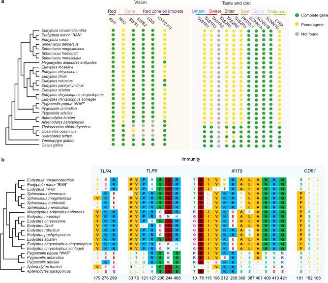 https://cdn.ncbi.nlm.nih.gov/pmc/blobs/f9f0/9296559/ee6cd8551824/41467_2022_31508_Fig5_HTML.jpg