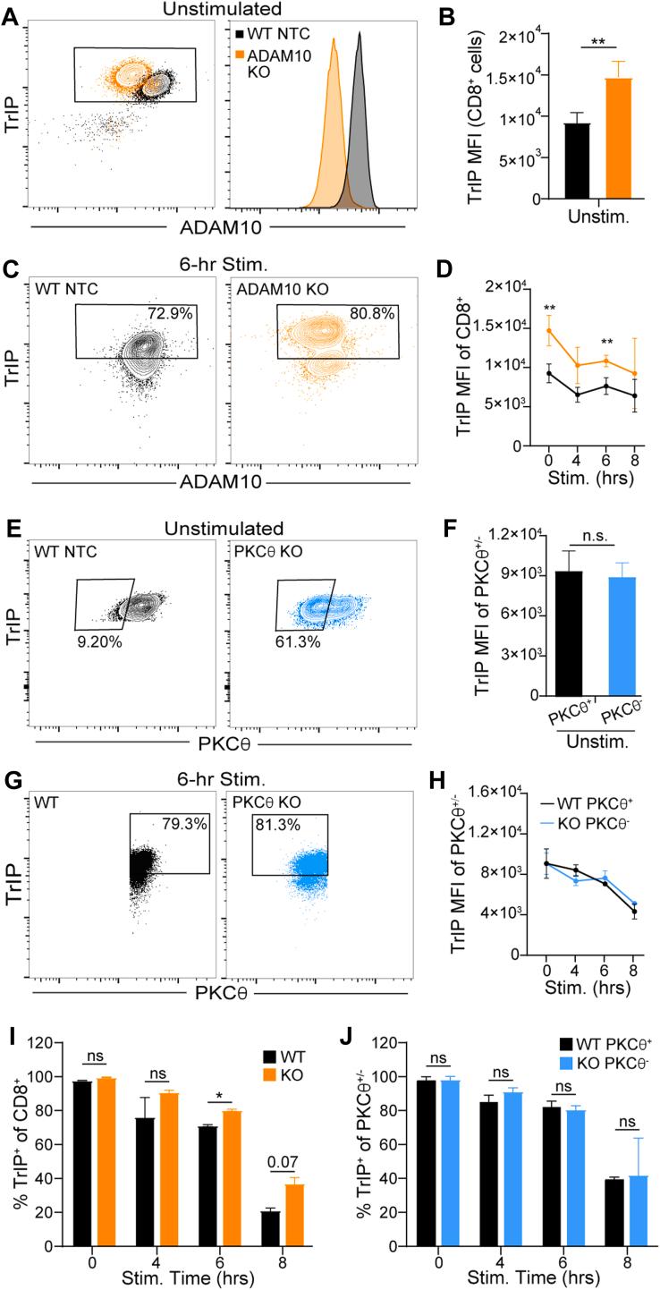 https://cdn.ncbi.nlm.nih.gov/pmc/blobs/f9f2/11615590/365e541b877a/gr6.jpg