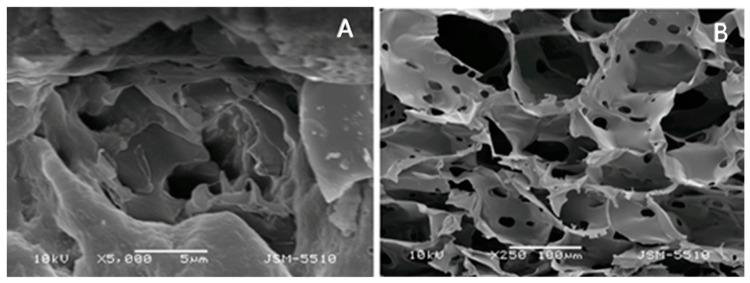 https://cdn.ncbi.nlm.nih.gov/pmc/blobs/f9f3/10216957/287e4961130b/gels-09-00352-g007.jpg