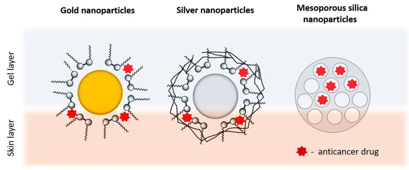 https://cdn.ncbi.nlm.nih.gov/pmc/blobs/f9f3/10216957/4b6d48dce9e5/gels-09-00352-g006.jpg