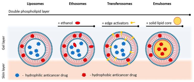 https://cdn.ncbi.nlm.nih.gov/pmc/blobs/f9f3/10216957/508450600795/gels-09-00352-g005.jpg