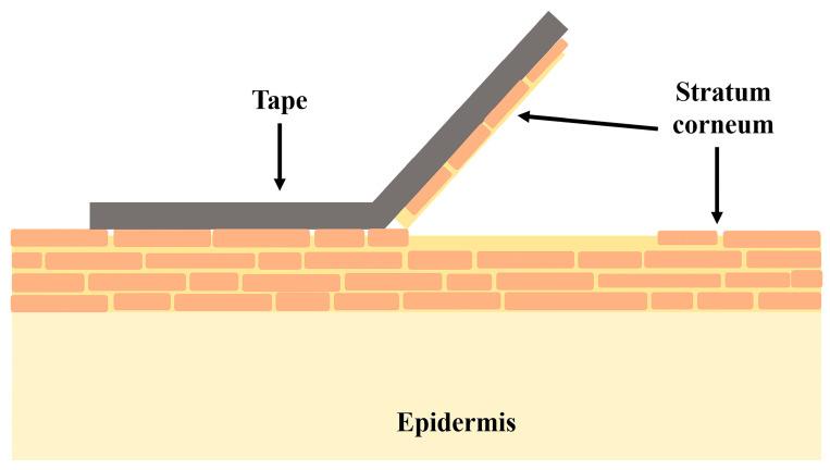 https://cdn.ncbi.nlm.nih.gov/pmc/blobs/f9f3/10216957/70b32f4ff87a/gels-09-00352-g008.jpg