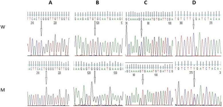 https://cdn.ncbi.nlm.nih.gov/pmc/blobs/f9f6/8128942/9158c2be8f24/43141_2021_165_Fig1_HTML.jpg