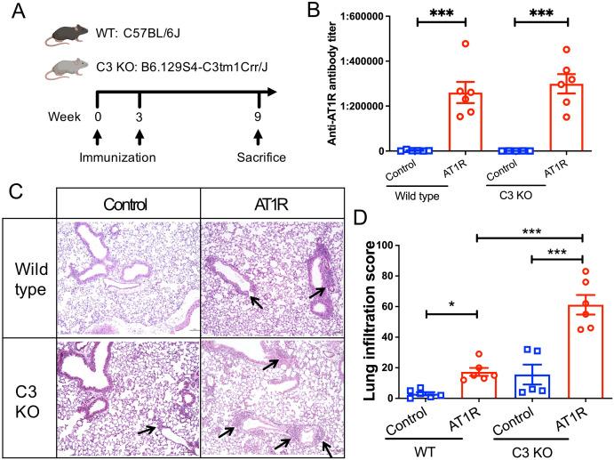 https://cdn.ncbi.nlm.nih.gov/pmc/blobs/f9f7/11683138/b41853577680/fimmu-15-1491324-g002.jpg