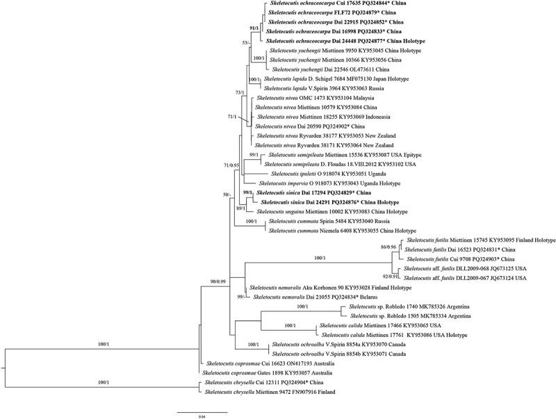 https://cdn.ncbi.nlm.nih.gov/pmc/blobs/f9f8/12422057/666a999f0db4/TMYC_A_2448145_F0002_B.jpg