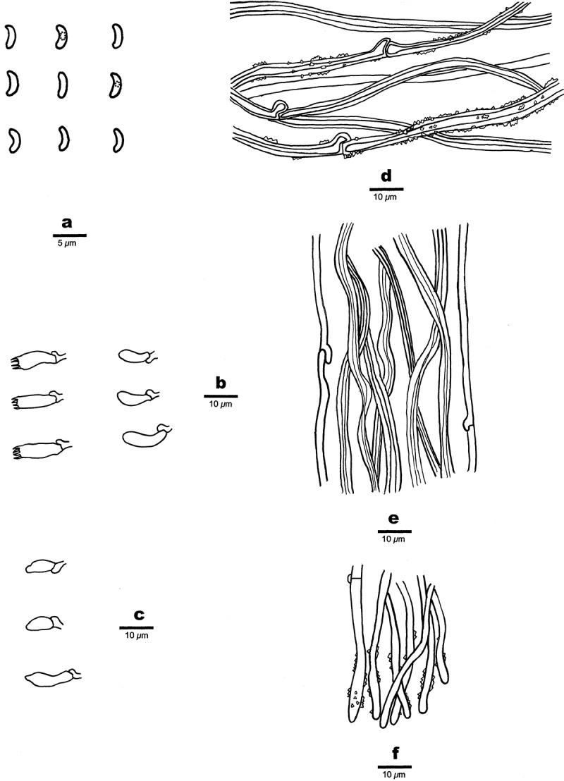 https://cdn.ncbi.nlm.nih.gov/pmc/blobs/f9f8/12422057/ccbbc01f0253/TMYC_A_2448145_F0037_B.jpg