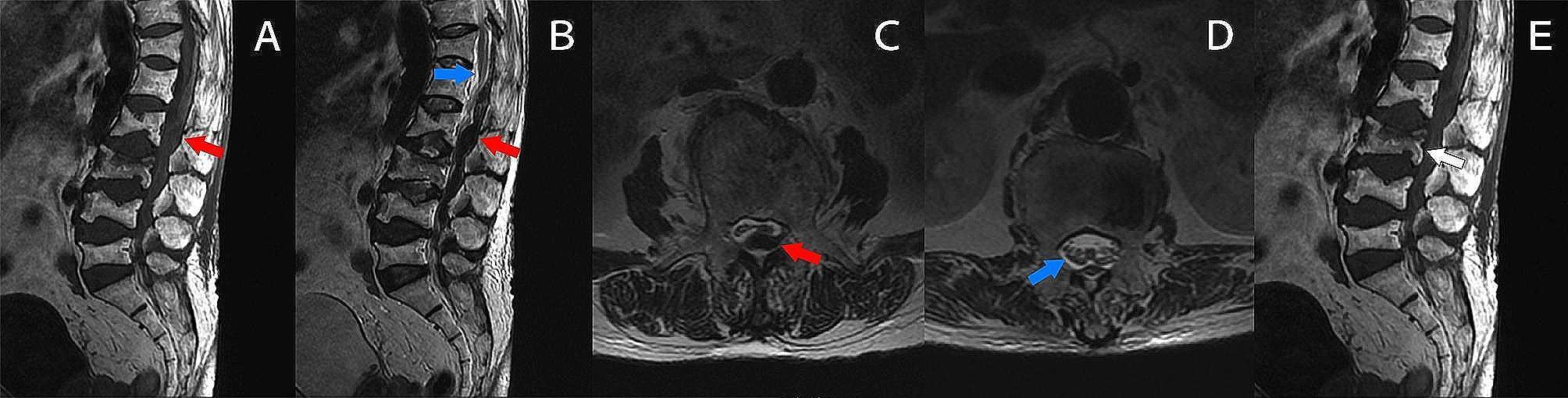 https://cdn.ncbi.nlm.nih.gov/pmc/blobs/f9f9/11241848/f27875d9a038/12871_2024_2619_Fig1_HTML.jpg