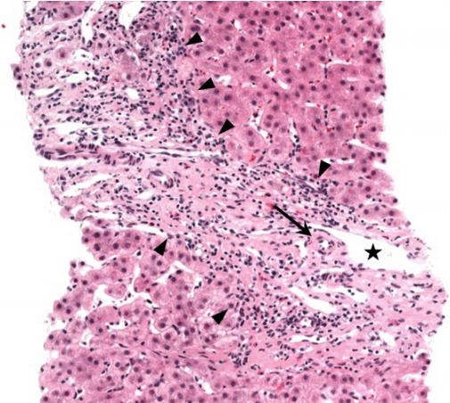 https://cdn.ncbi.nlm.nih.gov/pmc/blobs/f9fc/5628001/bb96418702be/cmh-2016-0057f3.jpg