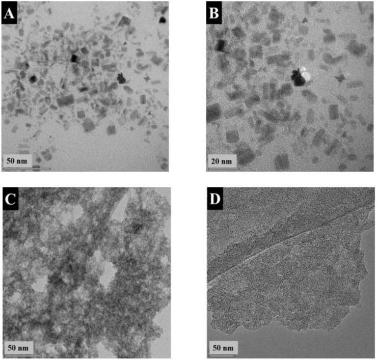 https://cdn.ncbi.nlm.nih.gov/pmc/blobs/fa00/10222248/ae8b555e9987/nanomaterials-13-01693-g005.jpg