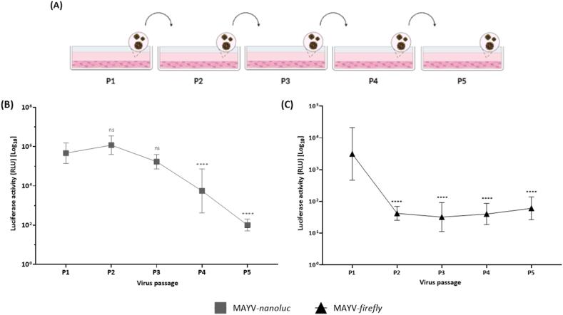 https://cdn.ncbi.nlm.nih.gov/pmc/blobs/fa00/11283106/3f95e4acefea/gr4.jpg