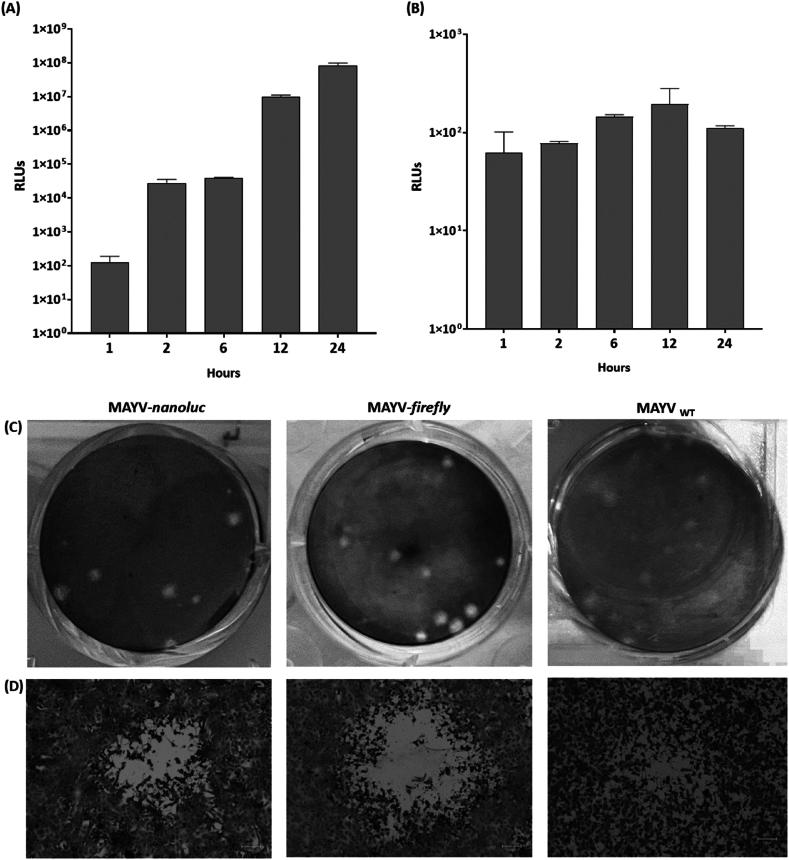 https://cdn.ncbi.nlm.nih.gov/pmc/blobs/fa00/11283106/ae92fcfb1085/gr2.jpg