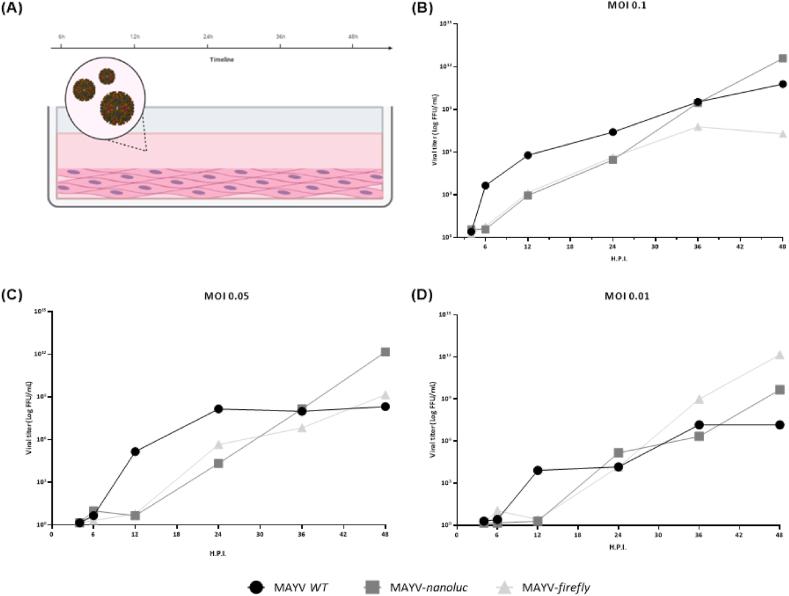 https://cdn.ncbi.nlm.nih.gov/pmc/blobs/fa00/11283106/c11809685af5/gr3.jpg