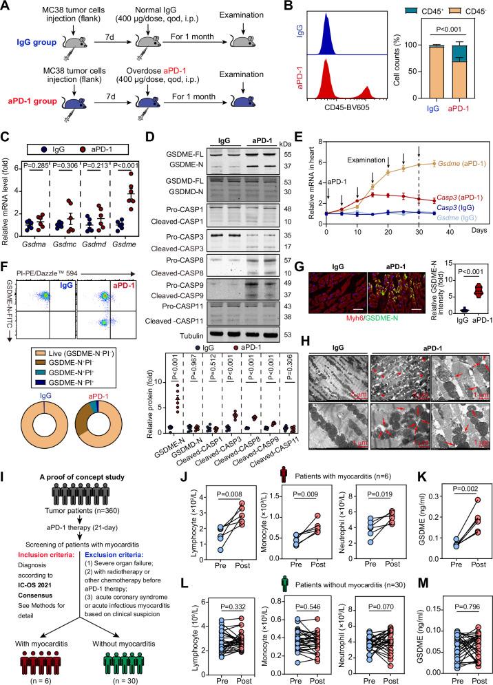 https://cdn.ncbi.nlm.nih.gov/pmc/blobs/fa00/11300882/295898e2282b/41467_2024_50996_Fig1_HTML.jpg