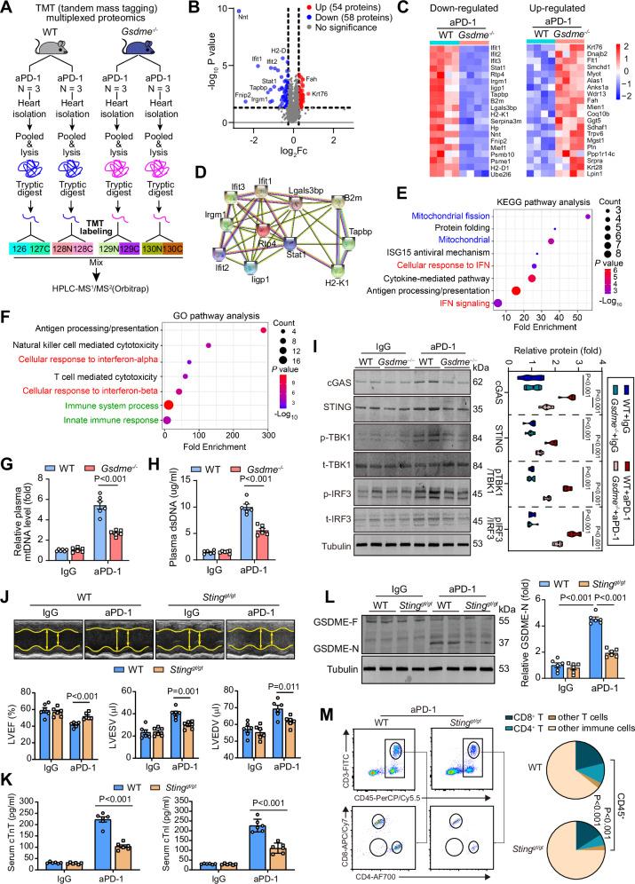 https://cdn.ncbi.nlm.nih.gov/pmc/blobs/fa00/11300882/30e2b3d3dd2e/41467_2024_50996_Fig9_HTML.jpg