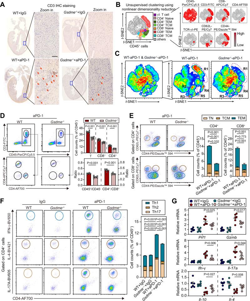 https://cdn.ncbi.nlm.nih.gov/pmc/blobs/fa00/11300882/3dec930337e8/41467_2024_50996_Fig3_HTML.jpg