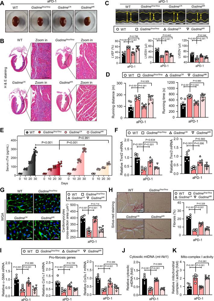 https://cdn.ncbi.nlm.nih.gov/pmc/blobs/fa00/11300882/3fdf4b074fa4/41467_2024_50996_Fig7_HTML.jpg