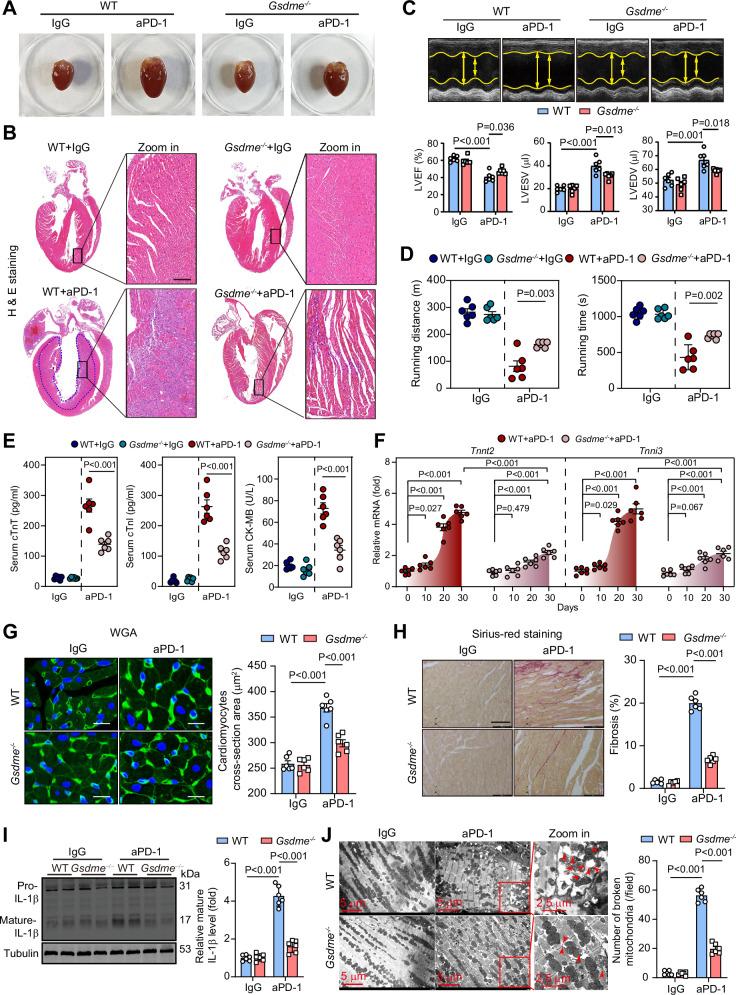 https://cdn.ncbi.nlm.nih.gov/pmc/blobs/fa00/11300882/6c1ed5ebf91c/41467_2024_50996_Fig2_HTML.jpg