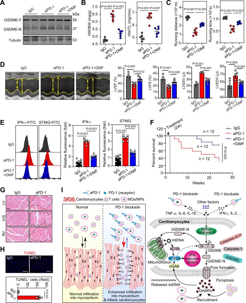 https://cdn.ncbi.nlm.nih.gov/pmc/blobs/fa00/11300882/bab85c421e20/41467_2024_50996_Fig10_HTML.jpg