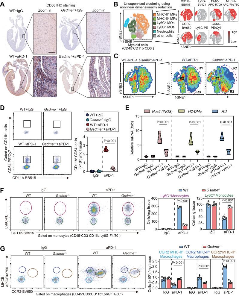 https://cdn.ncbi.nlm.nih.gov/pmc/blobs/fa00/11300882/fa65f23a69d0/41467_2024_50996_Fig4_HTML.jpg