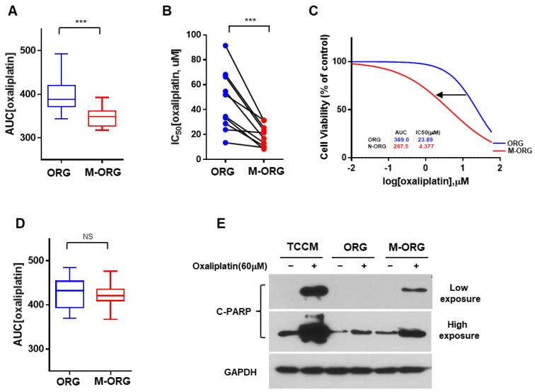 https://cdn.ncbi.nlm.nih.gov/pmc/blobs/fa01/10705195/8a3db9867bc3/cancers-15-05531-g005.jpg