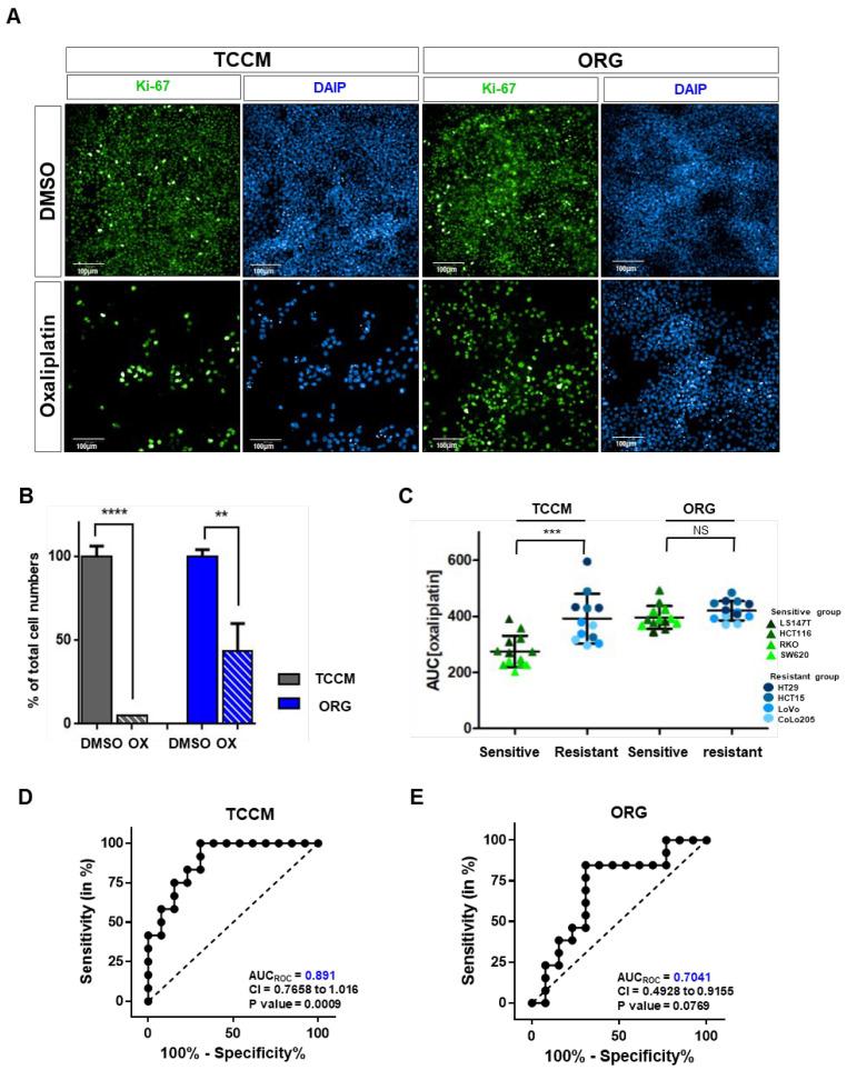 https://cdn.ncbi.nlm.nih.gov/pmc/blobs/fa01/10705195/dcf8cdcd522b/cancers-15-05531-g002.jpg