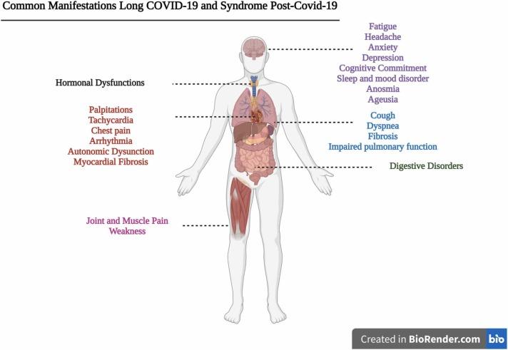 https://cdn.ncbi.nlm.nih.gov/pmc/blobs/fa07/9528075/41d24b90763c/gr1_lrg.jpg