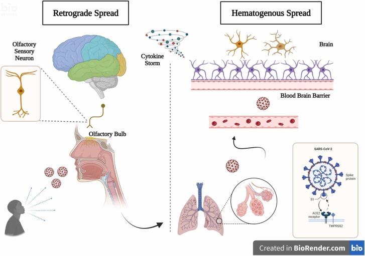 https://cdn.ncbi.nlm.nih.gov/pmc/blobs/fa07/9528075/4a0fe350e40e/gr3_lrg.jpg