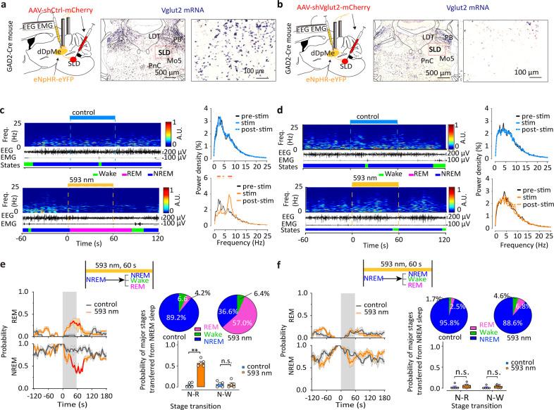 https://cdn.ncbi.nlm.nih.gov/pmc/blobs/fa09/9592589/45ed18fd2ea1/41421_2022_456_Fig4_HTML.jpg