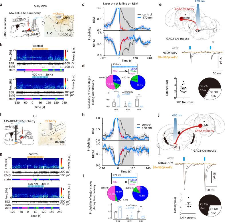 https://cdn.ncbi.nlm.nih.gov/pmc/blobs/fa09/9592589/e0edf1c02eaf/41421_2022_456_Fig3_HTML.jpg