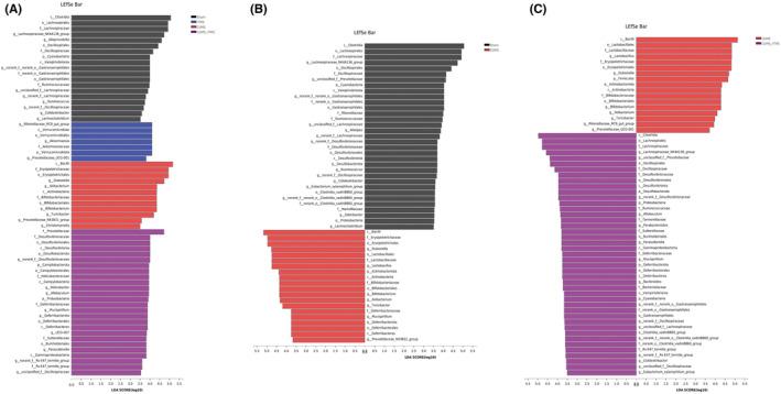 https://cdn.ncbi.nlm.nih.gov/pmc/blobs/fa0c/10580350/ad1cefee41ec/CNS-29-3549-g005.jpg