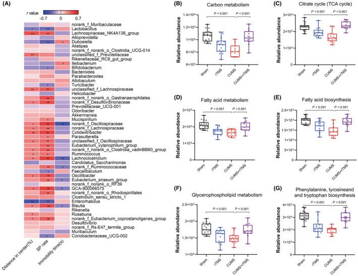 https://cdn.ncbi.nlm.nih.gov/pmc/blobs/fa0c/10580350/f397c1600d01/CNS-29-3549-g008.jpg
