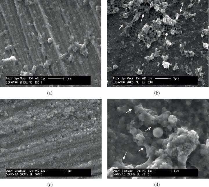 https://cdn.ncbi.nlm.nih.gov/pmc/blobs/fa0c/7222588/0012f78d8338/SCANNING2020-6065739.010.jpg